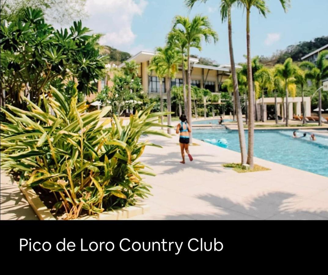 נסוגבו Pico De Loro 2 Bd Garden Loft With Lagoon View מראה חיצוני תמונה